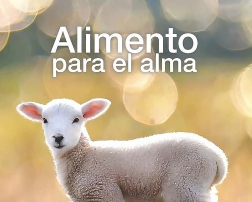 Food for the Soul for Latin America